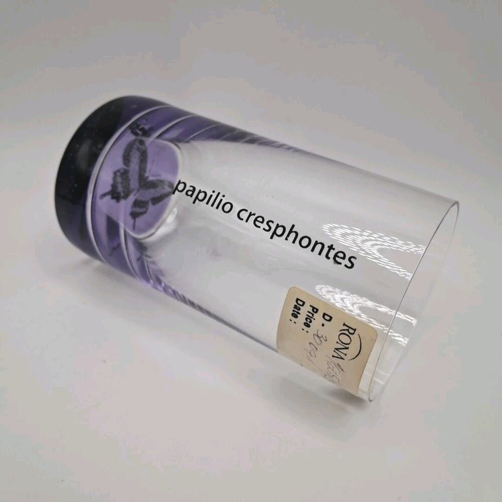 RONA Papilio Cresphontes Butterfly Purple Base Drinking Glass 4.5" VintageVase